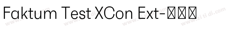 Faktum Test XCon Ext字体转换